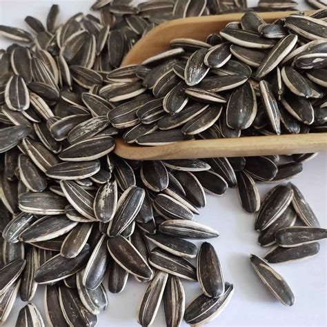 chinese sunflower seeds  types  buy sunflower seedschinese sunflower