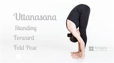 uttanasana standing  fold pose arogya yoga school blog