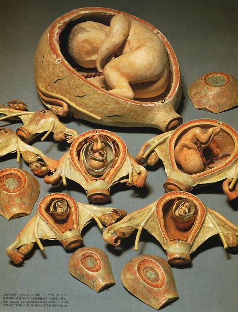 Morbid Anatomy Japanese Pregnancy Dolls 19th Century
