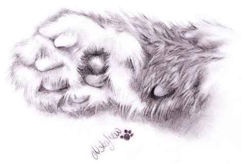 cat paw drawing   cat paw drawing png images