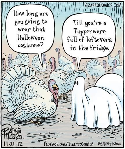 17 best images about thanksgiving humor on pinterest