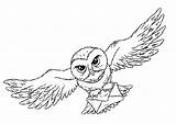 Hedwig Eule Pages Bird Ausmalen Flies sketch template
