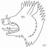 Coloring Wild Boar Pages Head Drawing Puzzle sketch template