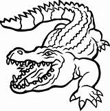Crocodile Alligator Alligators Clipartmag Toad Hiclipart sketch template