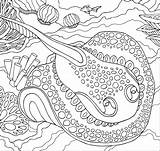 Reef Zentangle Stingray sketch template