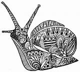 Snail Zentangle Society6 Sold sketch template