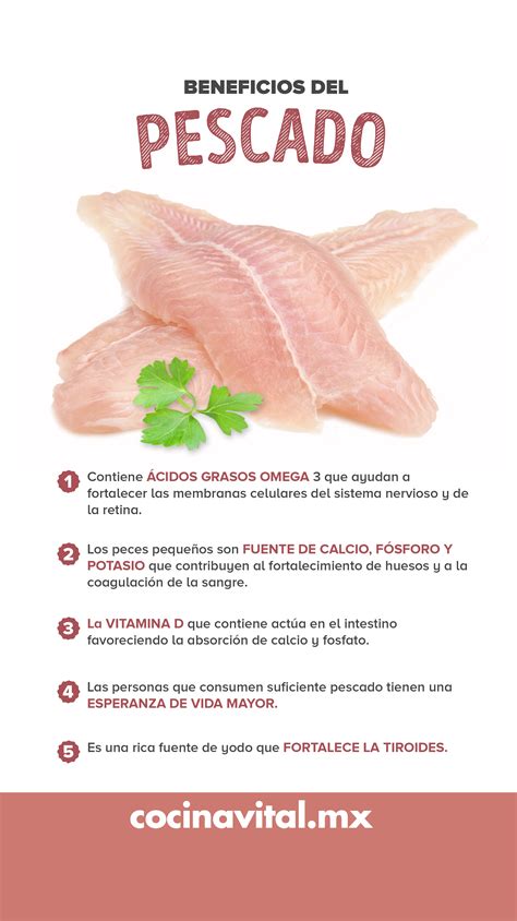 9 Razones Para Comer Pescado ¡terminarás Amándolo Beneficios