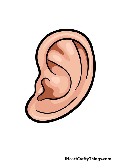 cartoon ear drawing   draw  cartoon ear step  step