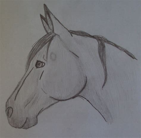traditional horse drawing  paardjee  deviantart