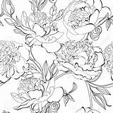 Peony Drawing Pattern Flower Peonies Illustration Imgkid Choose Board Painting Vectors sketch template