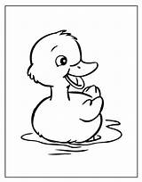 Pato Patos Poplembrancinhas sketch template