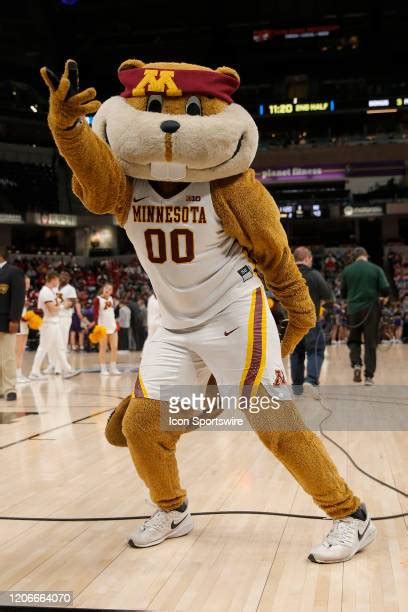 Minnesota Gophers Mascot Photos And Premium High Res Pictures Getty