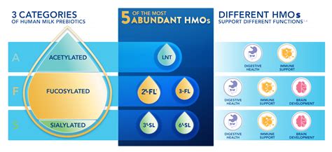 human milk oligosaccharides hmo categories types  benefits