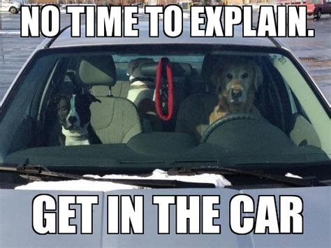 these 16 wholesome memes nail what it s like to drive today etags