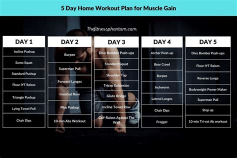 day home workout plan    equipment