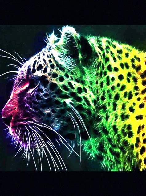 ideas  delilahs rainbow leopard room images  pinterest leopard prints leopard