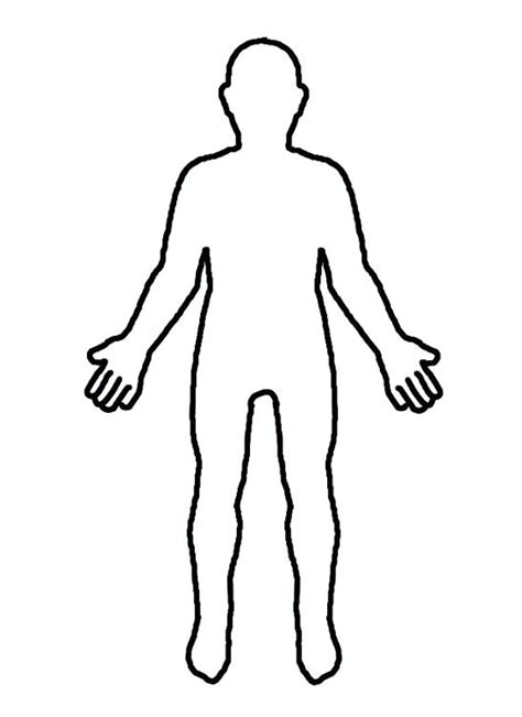 medical human body outline drawing  getdrawings