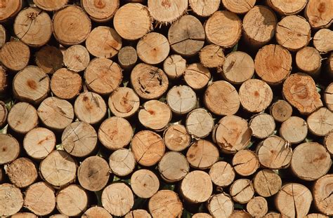 limportance du bois cet hiver cheminee vianocom