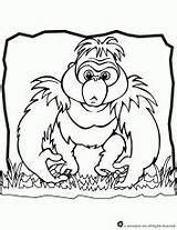 Coloring Gorilla Playing Mother Printable Baby sketch template