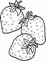 Strawberry Frutas Dibujos sketch template