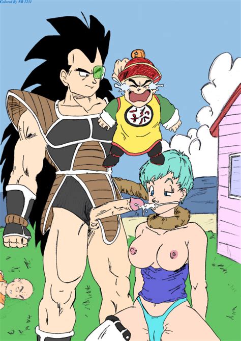 695507 Bulma Briefs Dragon Ball Z Krillin Son Gohan Raditz