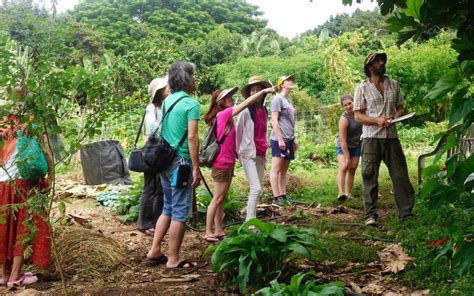 ecotourism  tours  hawaii gingerhill farm retreat