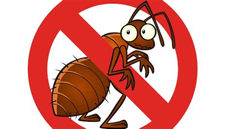 find   pest control provider  win  day  pests entrepreneurs break