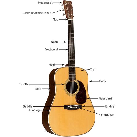 buying guide   choose  acoustic guitar  hub