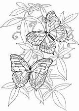 Coloring Pages Butterfly Adult Printable Adults Butterflies Color Colouring Print Book Hard Coupons Sheets Work Colorpagesformom Books Kids Prente Inkleur sketch template