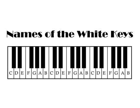 white keys   piano art sphere