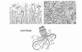 Ocean Lost Johanna Postcards Basford Coloring Fahrneyspens sketch template