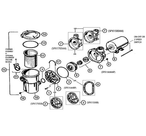 hayward pool pump parts diagram diagram  source