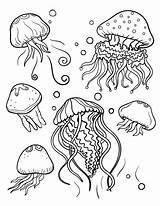 Jellyfish Coloring Pages Fish Realistic Printable Ocean Kids Drawing Mermaid Color Sheets Adult Drawings Animal Animals Baby Dark Colouring Jelly sketch template