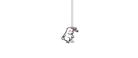 stop what you re doing here s a pole dancing rabbit