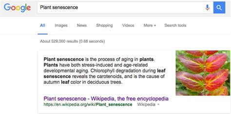 helping plant biology  botany bloom  wikipedia wiki education