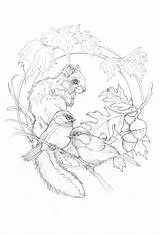 Coloring Pages Animal Adults Sketches Book Adult Drawings Bergsma Sketch Pyrography Sheets Printables Painting Paintings Voor Volwassenen Press Friends Kleuren sketch template
