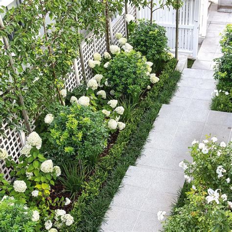 instagram photo  atnzhouseandgarden  likes rose garden