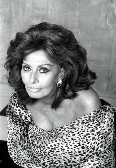 Sophia Loren Sofia Divas Carlo Ponti Sophia Loren Images Vintage