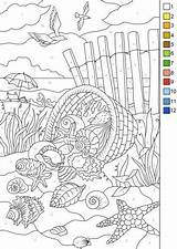 Numbers Sea Number Color Paint Shells Coloring Pages Adult Adults Beach Favoreads Printable Printables Original Style Choose Colors Kids Sheets sketch template