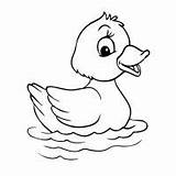 Coloring Ducks Pages Little Five Kids Animal Templates Print Duck Easy Template Colouring Drawing Cartoon Printable Farm Animals Baby Cute sketch template