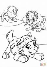Coloring Everest Paw Patrol Pages Print Skye Template Rubble sketch template