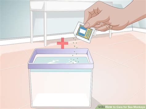 care  sea monkeys  steps  pictures wikihow pet