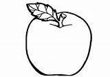 Coloring Pages Apple Color Printable Easy Fruits Apples Pdfs sketch template