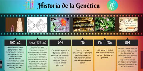 Historia De La Genética By Paola Lizeth Zelaya Rivera On Genially