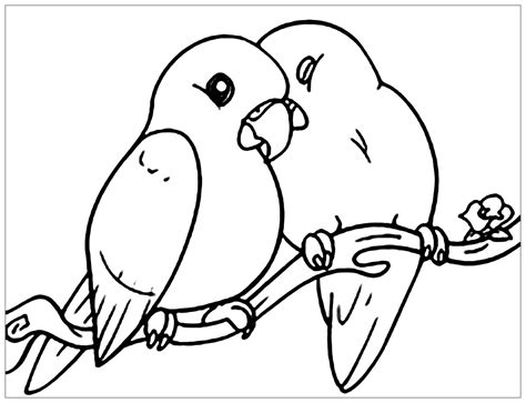 kids coloring pages birds  staggering birds coloring sheets photo