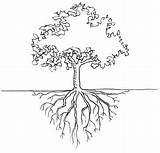 Roots Tree Nemeton Choose Board Root System Deep sketch template