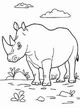 Nashorn Neushoorn Rhinoceros Rhino Coloring Kleurplaten Malvorlage Kalender sketch template