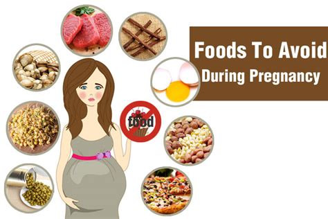 diary of a fit mommy15 foods to avoid during pregnancy diary of a fit