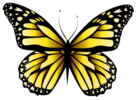 Dos Mariposa Amarilla Png Vectores Psd E Clipart Para Descarga Images