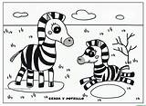 Cebra Potrillo sketch template